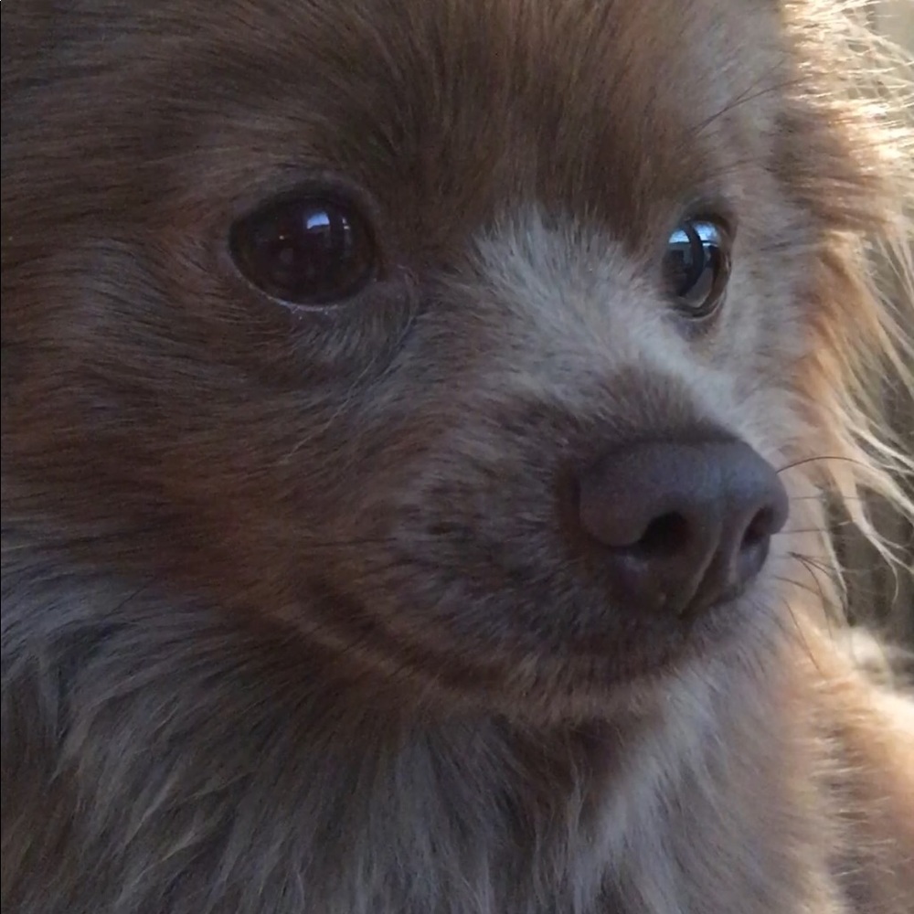 Meet your Posher, Rebeca